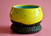 Green star planter w/ drainage dish 1