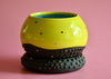 Green star planter w/ drainage dish 2