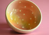 Rainbow polkadot bowl 1