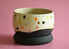 Rainbow Polkadot planter w/ drainage dish